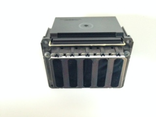 IMG 0081r